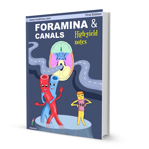 HIGH YIELD FORAMINA & CANALS NOTE BOOK